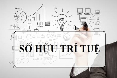 Giải pháp nâng cao hiệu quả thực thi quyền sở hữu trí tuệ tại Việt Nam