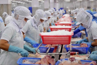 Năm 2024: Xuất khẩu cá ngừ chậm phục hồi