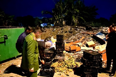 Thái Nguyên ngăn chặn khoảng 6 tấn hoa quả nhập lậu không có nhãn phụ đầy đủ