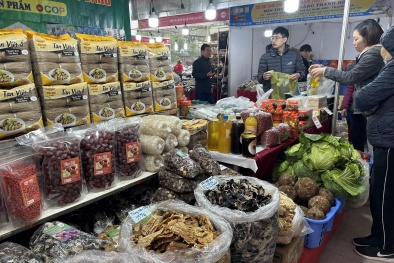 Hội chợ Xuân Giáp Thìn 2024- mang mùa Xuân đến với mọi người, mọi nhà