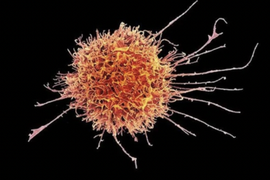 Trung Quốc đột phá trong quá trình sinh tổng hợp thuốc điều trị ung thư paclitaxel