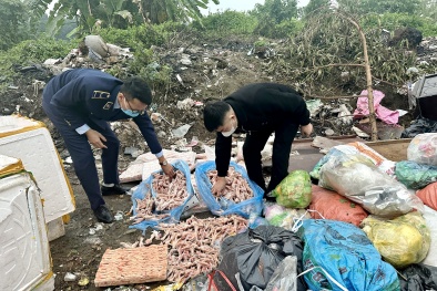 Thái Nguyên ngăn chặn hơn 500kg chân gà nhập lậu
