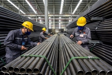 Thời hạn báo cáo dữ liệu CBAM có thể được gia hạn đến đầu tháng 3/2024