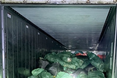 Lào Cai: Phát hiện hơn 14 tấn thực phẩm đông lạnh không rõ nguồn gốc tại Công ty Tổng hợp Minh Long 