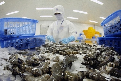 Kiến nghị bãi bỏ hạn ngạch tôm xuất khẩu vào Hàn Quốc