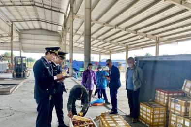 Cửa khẩu cầu Bắc Luân II thông quan sớm hơn kế hoạch