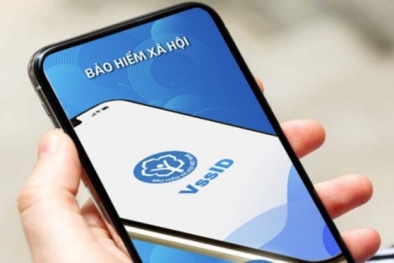 VssID - một trong ba ứng dụng của cơ quan nhà nước có lượng người dùng lớn tại Việt Nam