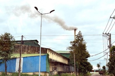 Quảng Ngãi báo động tình trạng xả thải vượt chuẩn tại Cụm công nghiệp Tịnh Ấn Tây
