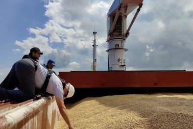 Ba Lan kiểm tra chất lượng tất cả các lô ngũ cốc vận chuyển từ Ukraine