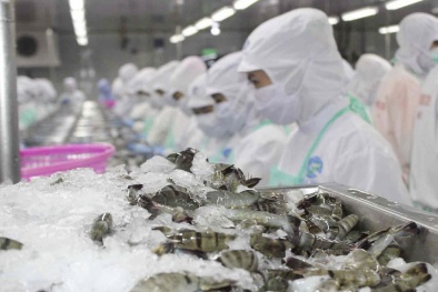 Doanh nghiệp ngành tôm cần linh hoạt ứng phó trước khó khăn mới khi xuất khẩu sang Mỹ