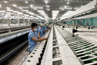 Phát triển thương hiệu ngành dệt may Việt Nam nhằm nâng cao vị thế trong nước và xuất khẩu