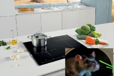 Sai lầm khi sử dụng bếp từ, bếp hồng ngoại gây hỏa hoạn nguy hiểm