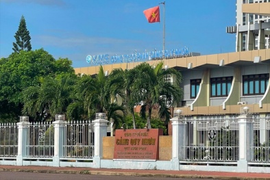 Bình Định: Công ty Cổ phần Dịch vụ hậu cần Cảng biển Quy Nhơn vi phạm phòng cháy chữa cháy