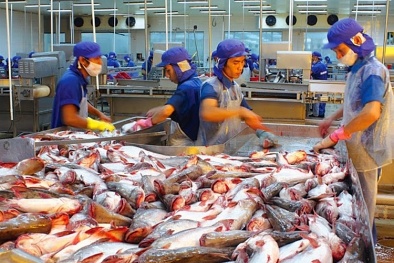 Xuất khẩu cá tra tăng trưởng dương
