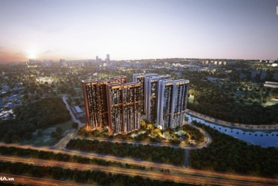 Lý do nên xuống tiền mua căn hộ Lumi Hanoi ngay đợt đầu