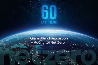 Hưởng ứng giờ trái đất 2024 hướng tới Net Zero - Giảm dấu chân carbon