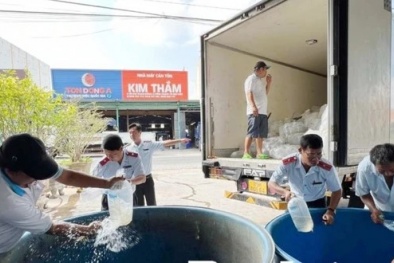 Bạc Liêu: Tiêu hủy gần 1,5 triệu tôm giống không rõ nguồn gốc