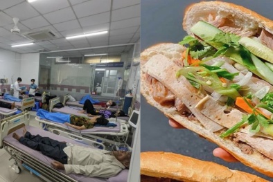 Bánh mì Thu Hà bị xử phạt do khiến nhiều người bị ngộ độc Salmonellaspp sau khi ăn 