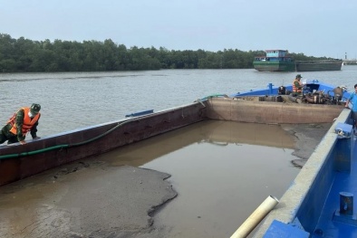 TP. Hồ Chí Minh: Thu giữ 200 mét khối cát nhiễm mặn không rõ nguồn gốc