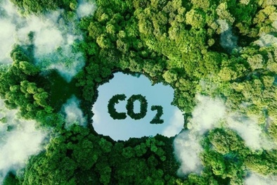 Tham gia thị trường tín chỉ carbon: Việt Nam cần làm gì?