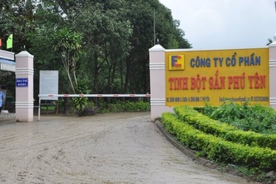 Công ty tinh bột sắn Phú Yên bị xử phạt do xả thải gây ô nhiễm môi trường