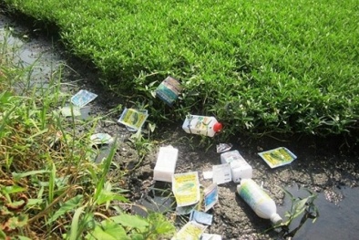 Lạm dụng thuốc trừ cỏ tràn lan có thể gây tác động tiêu cực tới sức khỏe và môi trường