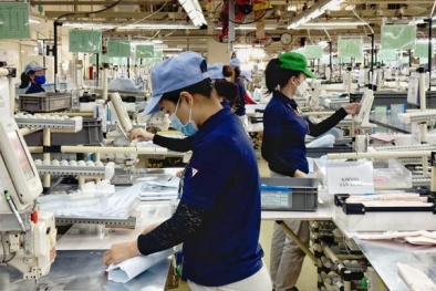 Quảng Ninh hỗ trợ doanh nghiệp nâng cao năng suất chất lượng sản phẩm, hàng hoá năm 2024