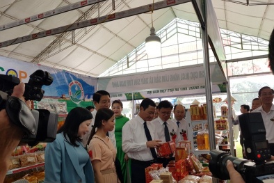 Nam Định triển khai việc nâng cao hiệu lực quản lý Nhà nước về chất lượng sản phẩm hàng hóa