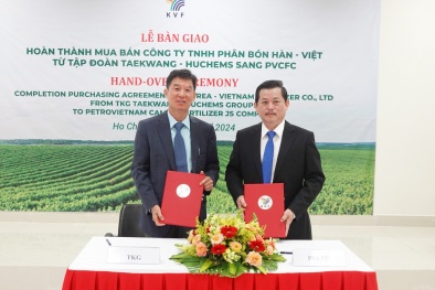 Bàn giao Công ty TNHH Phân bón Hàn – Việt sang Phân bón Cà Mau