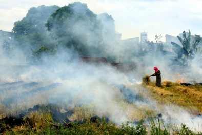 Tiết kiệm năng lượng, giảm phát thải khí nhà kính: Yếu tố tiên quyết đạt phát thải ròng bằng 0