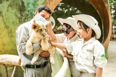 Vinpearl Safari - 'Thiên đường du lịch xanh' của Phú Quốc
