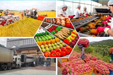 Tiêu chuẩn, quy chuẩn trong nông nghiệp và thách thức đối với nông sản xuất khẩu