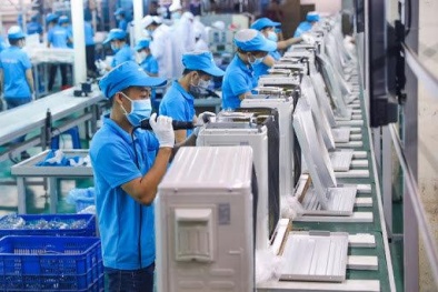 Dự báo kinh tế Việt Nam tăng trưởng 6% trong năm 2024