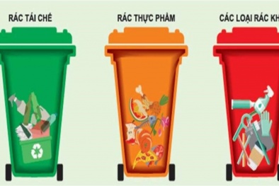 Phân loại rác thải tại nguồn: Thực trạng và giải pháp
