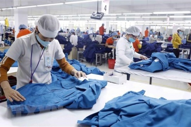 Ninh Thuận: Thúc đẩy hoạt động tăng năng suất của doanh nghiệp 