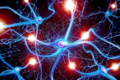 Mạng lưới thần kinh – mô hình AI tiềm năng và đột phá
