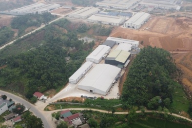 Xử phạt 320 triệu đồng Công ty TNHH sản xuất gỗ Mộc Việt do không có giấy phép môi trường