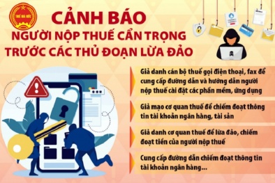 Cảnh báo mạo danh lãnh đạo Cục Thuế và làm giả hồ sơ để trục lợi