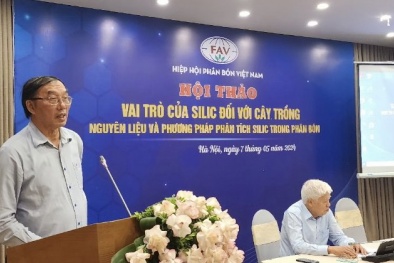 Cần nhất quán phương pháp xác định hàm lượng silic trong sản xuất phân bón