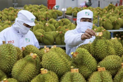 EU đưa ra quy định mới ngặt nghèo hơn để bảo vệ người tiêu dùng tốt hơn