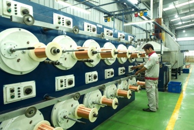 CADI-SUN giữ vững vị thế trên thị trường dây cáp điện