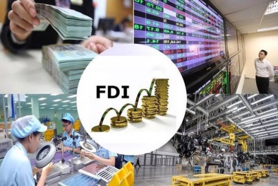 Doanh nghiệp FDI tại Việt Nam phục hồi vững chắc sau đại dịch 