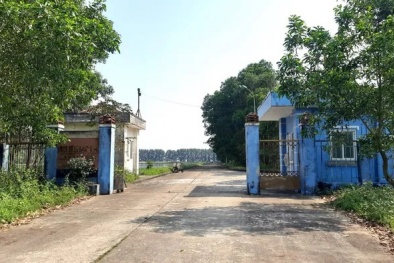 Quảng Trị: Xử phạt trung tâm quản lý cụm công nghiệp Đông Hà xả thải vượt chuẩn