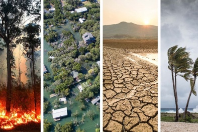 Tiêu chuẩn quốc tế đóng vai trò then chốt trong giải quyết vấn đề biến đổi khí hậu