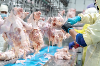 Hàng loạt thay đổi trong kiểm dịch sản phẩm động vật nhập khẩu