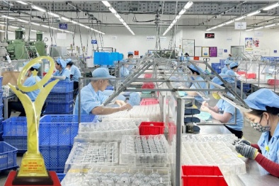 Doanh nghiệp đạt Giải thưởng Chất lượng Quốc gia: Dấu ấn trên bản đồ chất lượng