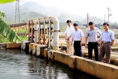 Nghị định quy định chi tiết thi hành một số điều của Luật Tài nguyên nước 