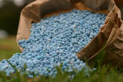 Hàng loạt doanh nghiệp sản xuất phân bón tại Thanh Hóa bị xử phạt do vi phạm chất lượng