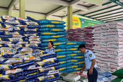 Gia Lai: Xử phạt 3 cơ sở kinh doanh phân bón, thuốc bảo vệ thực phẩm không có giấy phép