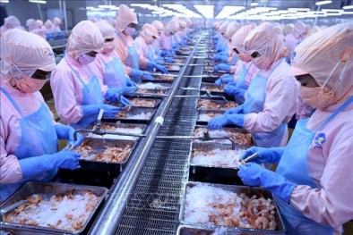 Hậu Giang hỗ trợ tích cực cho doanh nghiệp về nâng cao năng suất, chất lượng sản phẩm hàng hóa